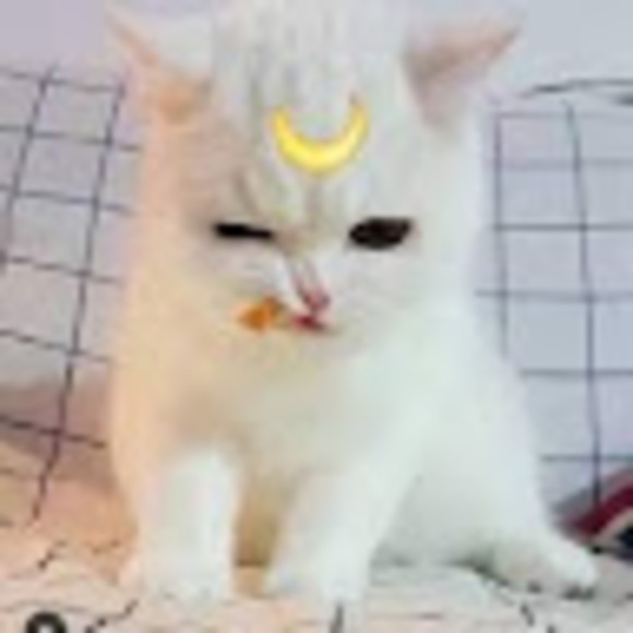 sailormoon869